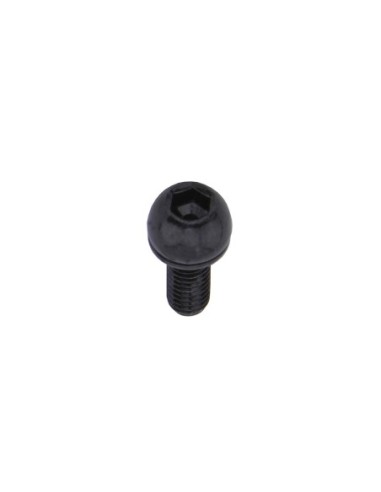 Bottle Cage Allen Bolts 5x12mm Black.